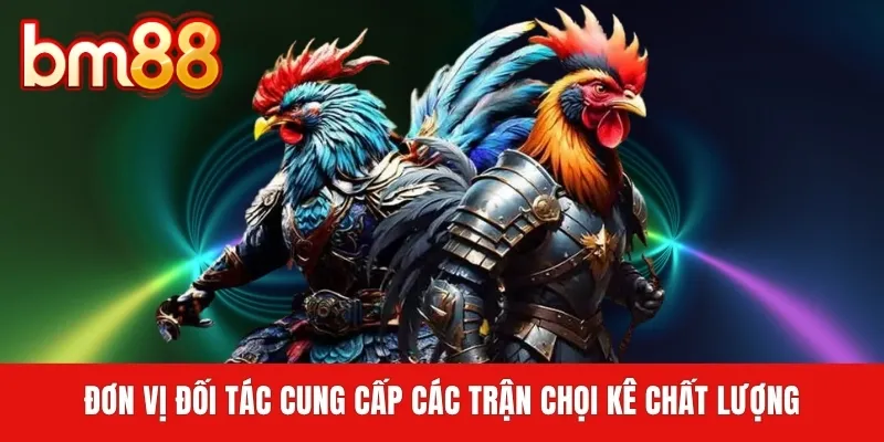 Đơn vị đối tác cung cấp các trận chọi kê chất lượng